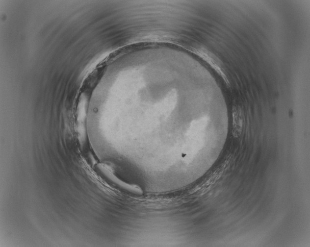 X0000066520972200604071548