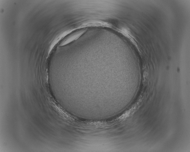 X0000066520973200604071548