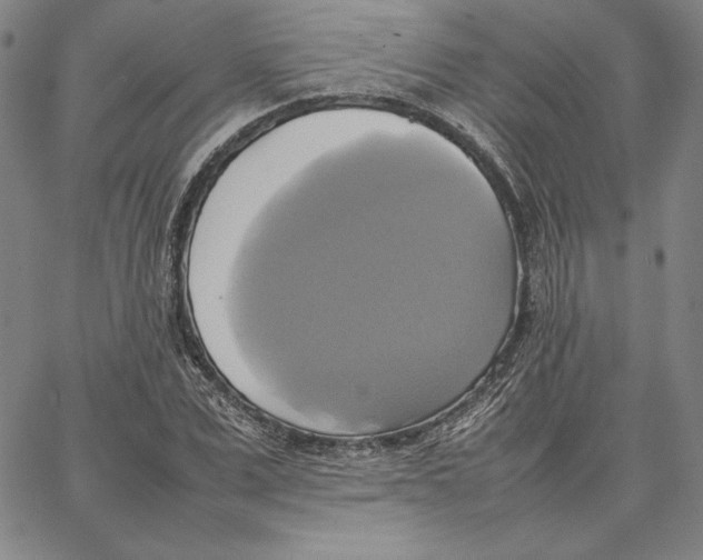 X0000066520975200604071548