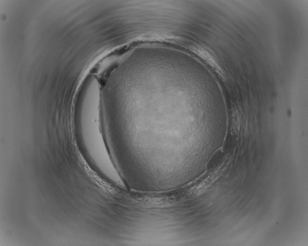 X0000066520976200604071548