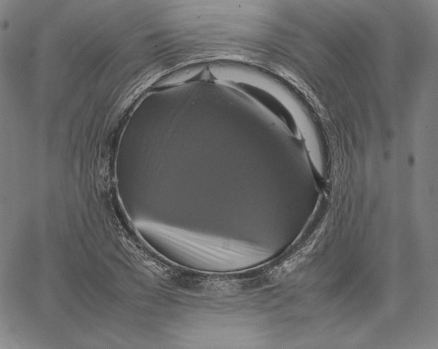 X0000066520977200604071548