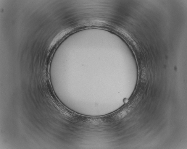 X0000066520978200604071548