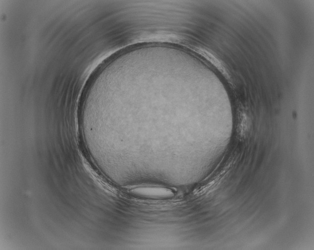 X0000066520980200604071548