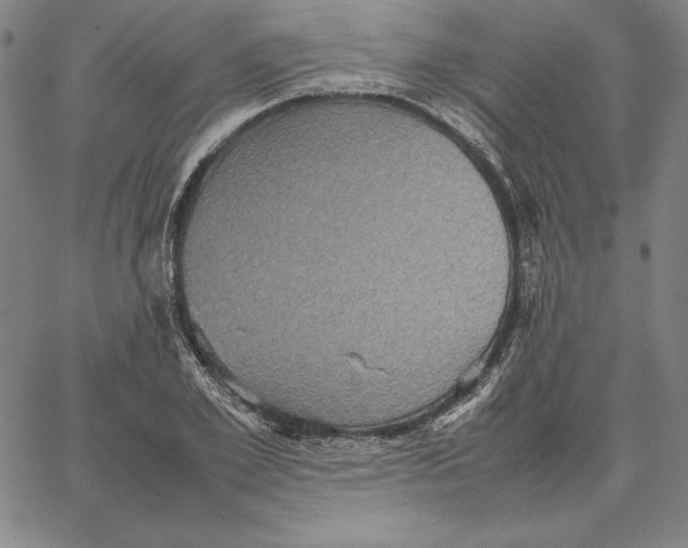 X0000066520981200604071548