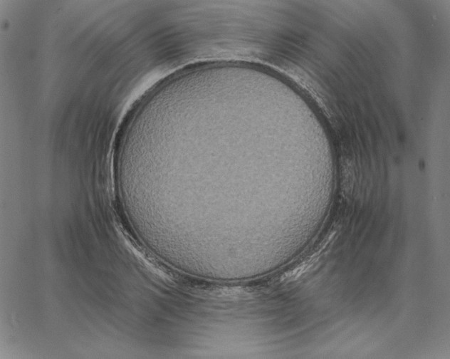 X0000066520982200604071547