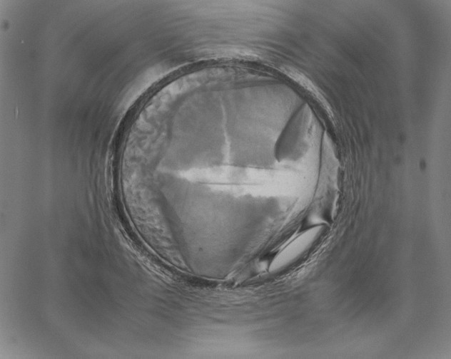 X0000066520983200604071547