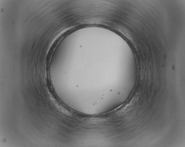 X0000066520984200604071547