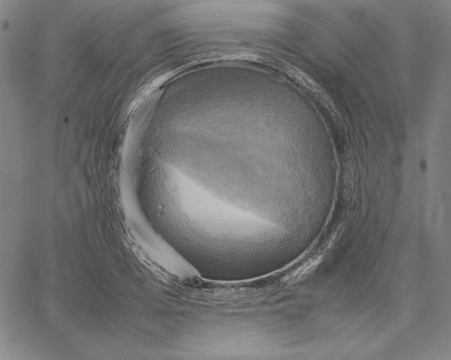 X0000066520985200604071547