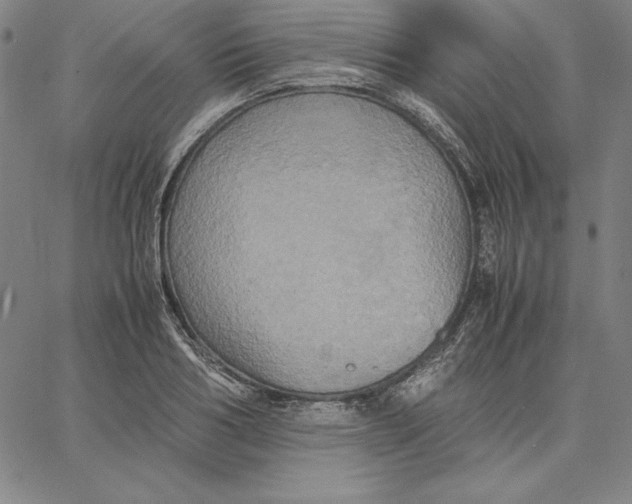 X0000066520986200604071547