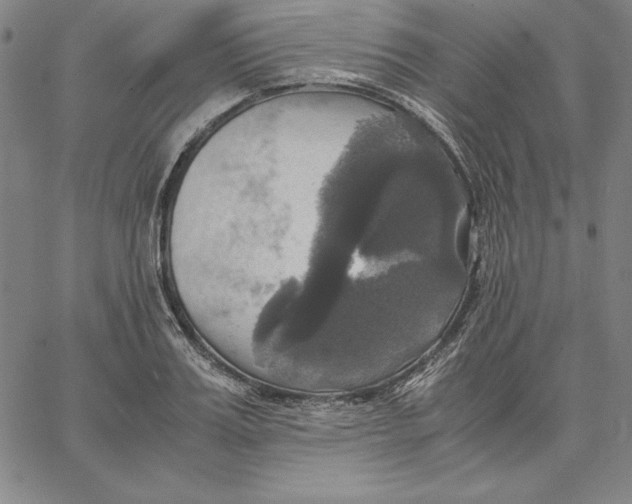 X0000066520987200604071547