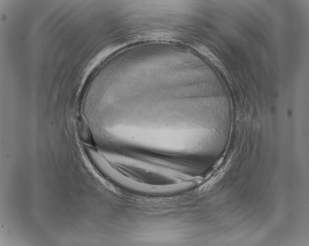 X0000066520989200604071547