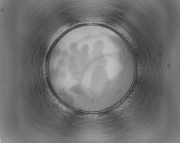 X0000066520990200604071547