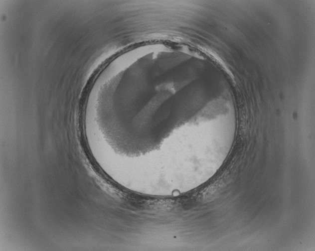 X0000066520991200604071547