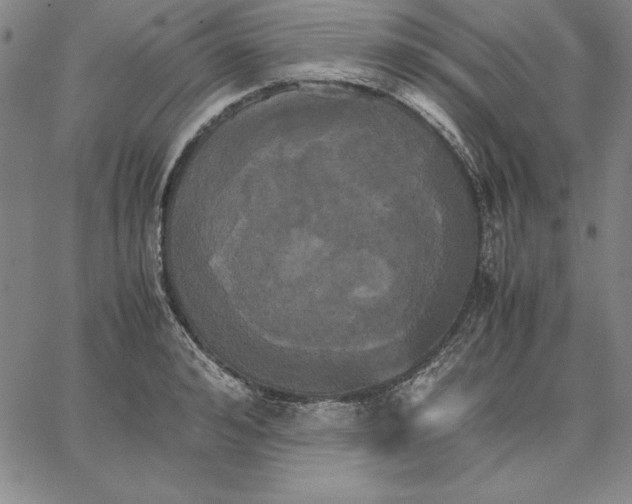 X0000066520992200604071547