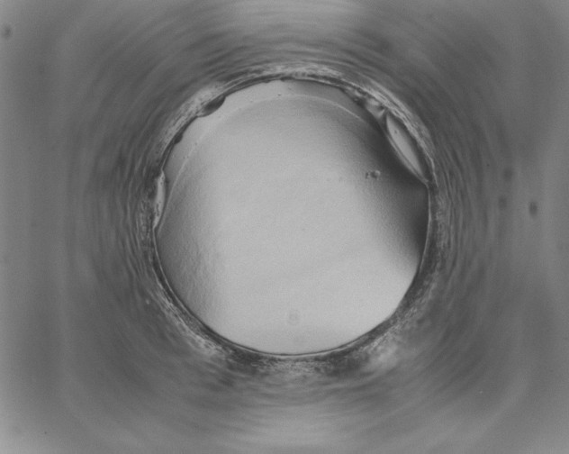 X0000066520993200604071547