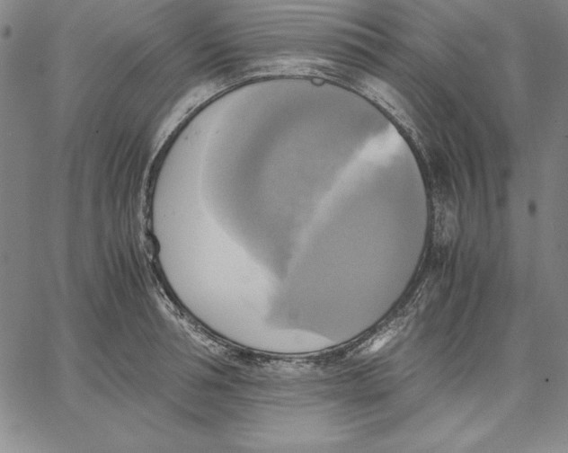 X0000066520994200604071547