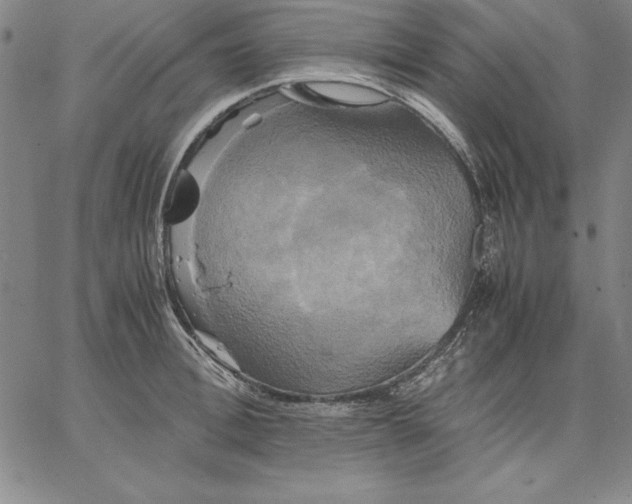 X0000066520996200604071547