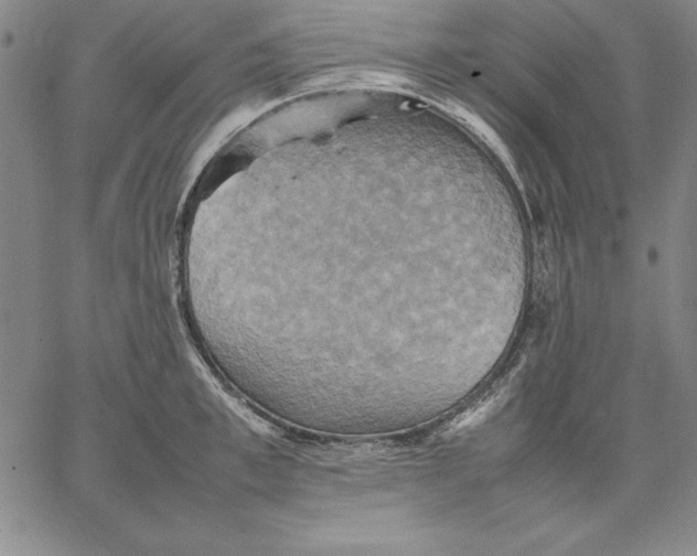 X0000066520997200604071547