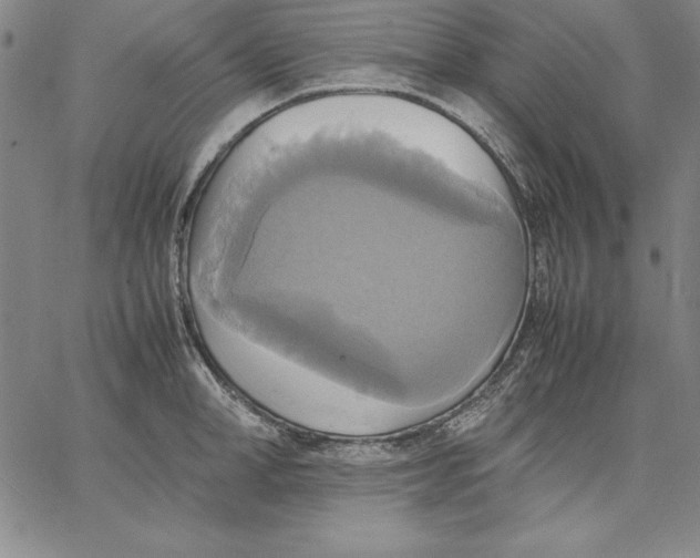 X0000066520998200604071547