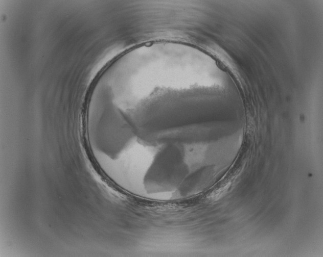 X0000066520999200604071547