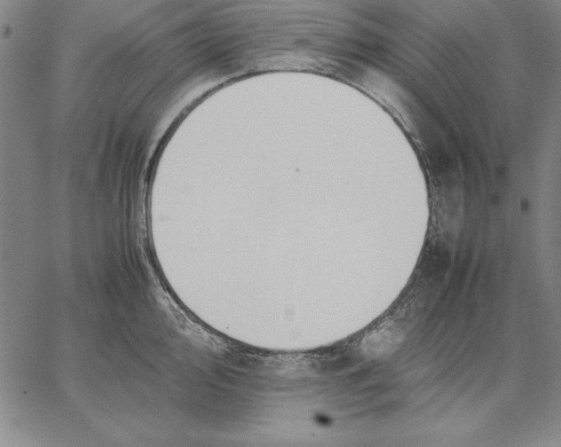 X0000066521000200604071547