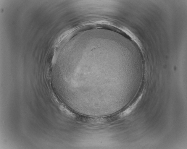 X0000066521001200604071547