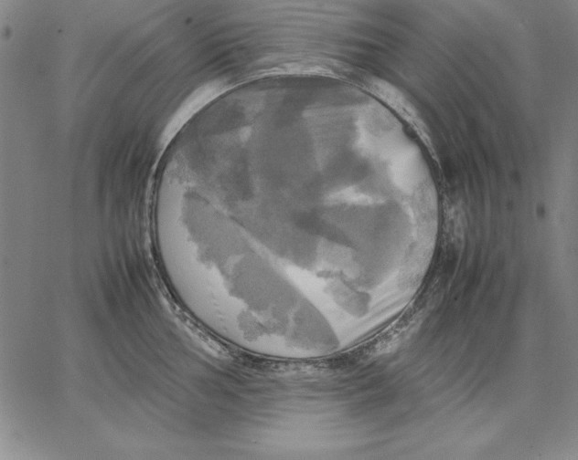 X0000066521002200604071547