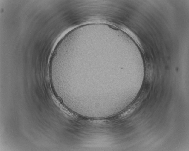 X0000066521004200604071547