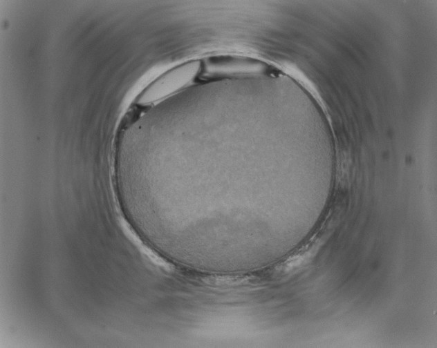 X0000066521005200604071547