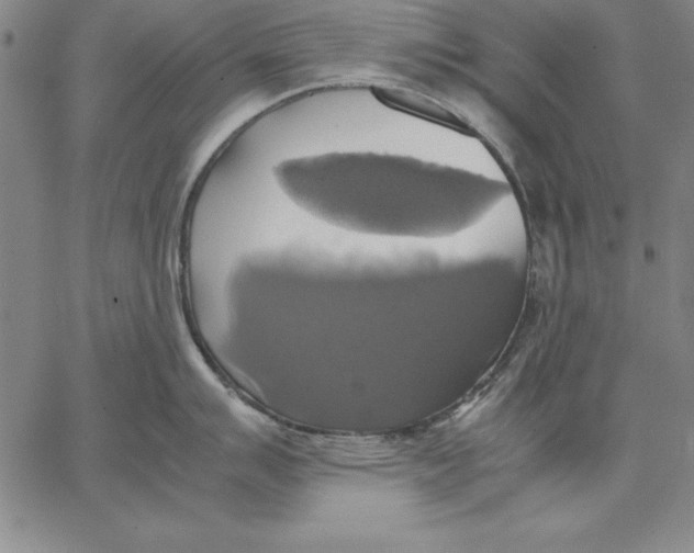 X0000066521007200604071547