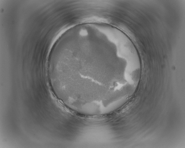 X0000066521008200604071547