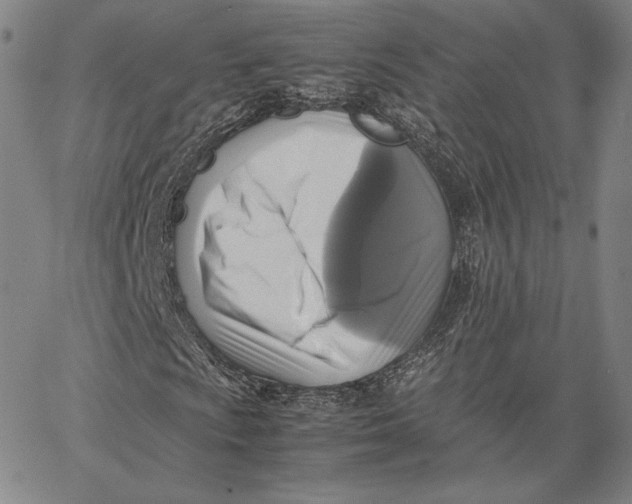 X0000066521009200604071546