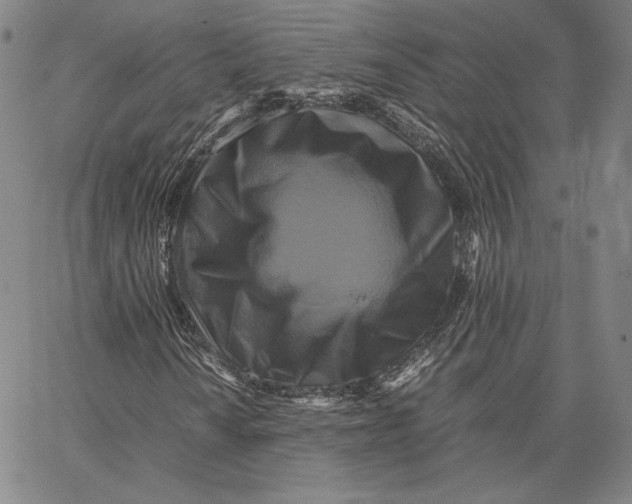 X0000066521010200604071546