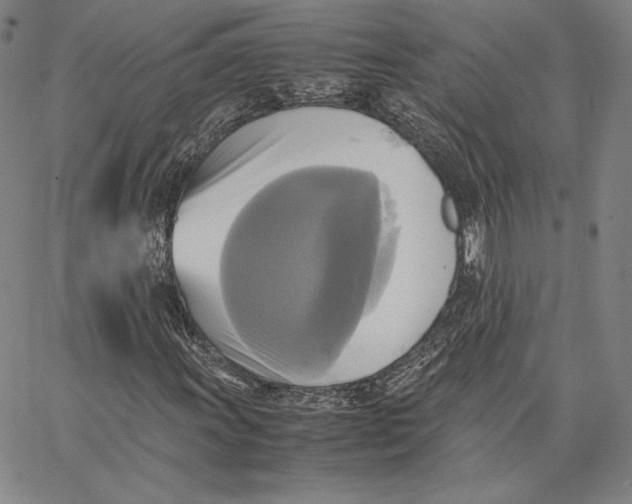 X0000066521011200604071546