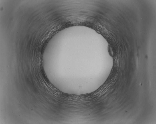 X0000066521012200604071546