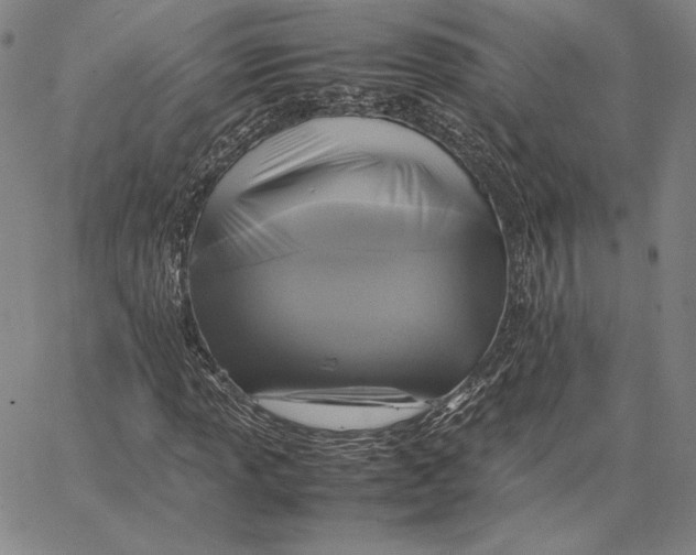 X0000066521013200604071546