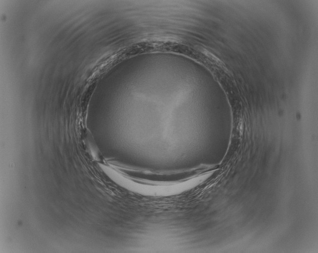 X0000066521014200604071546