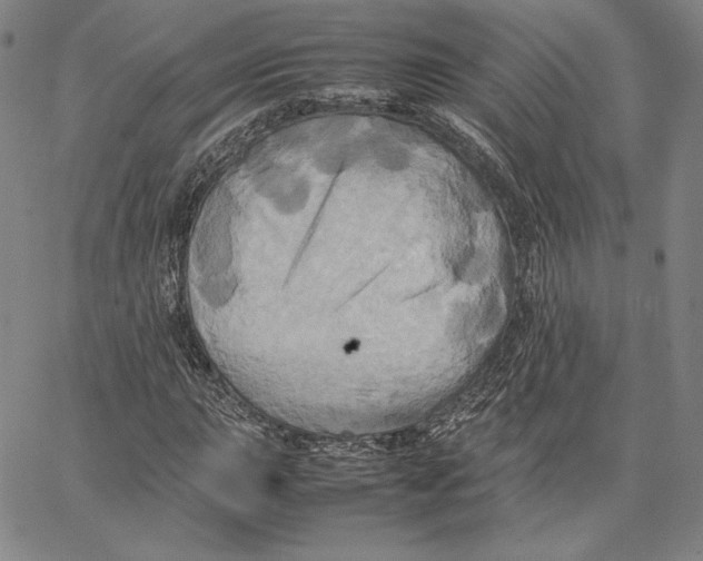 X0000066521015200604071546