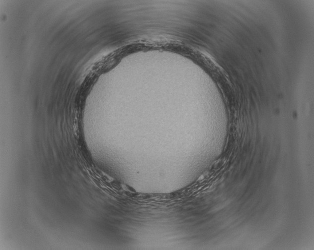 X0000066521016200604071546