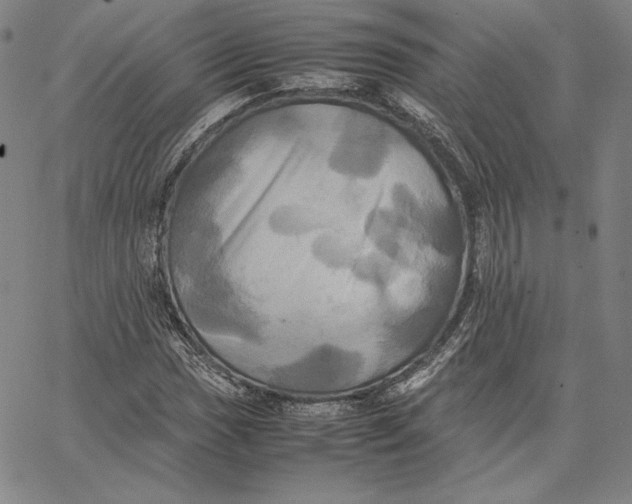 X0000066521017200604071546