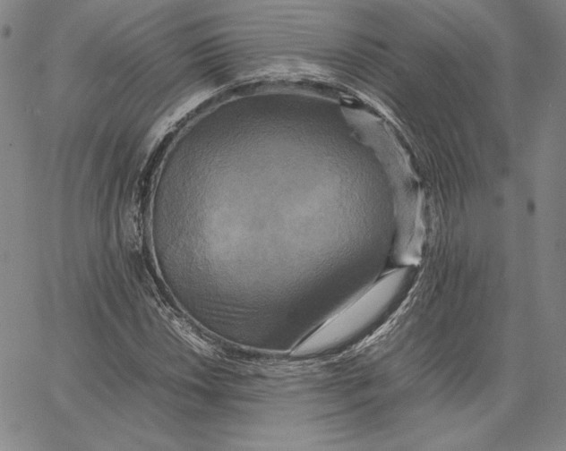 X0000066521018200604071546