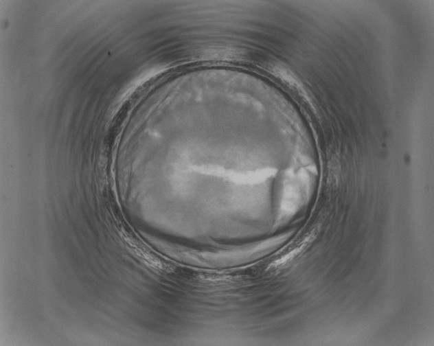 X0000066521019200604071546