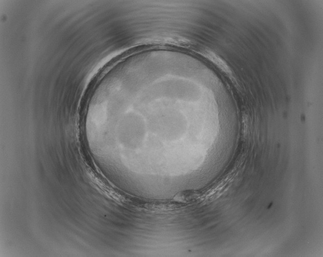 X0000066521020200604071546