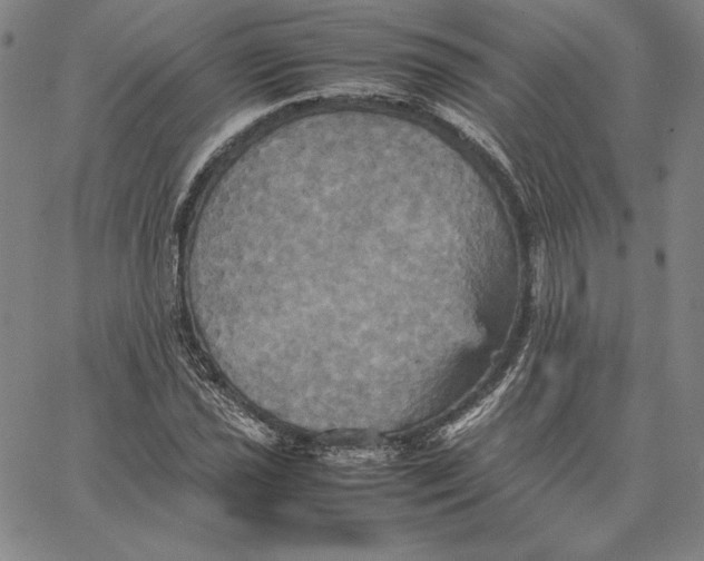 X0000066521021200604071546