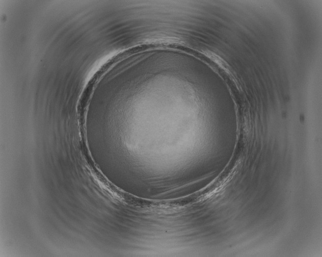 X0000066521022200604071546