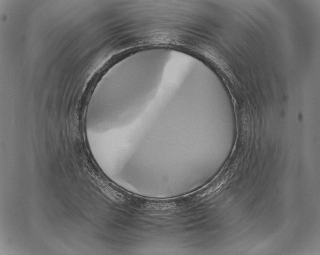 X0000066521023200604071546