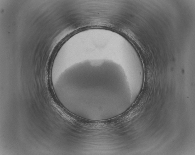 X0000066521024200604071547