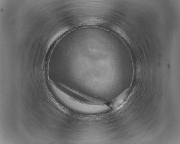 X0000066521026200604071547