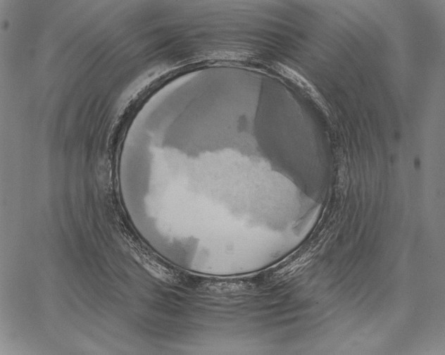 X0000066521027200604071547