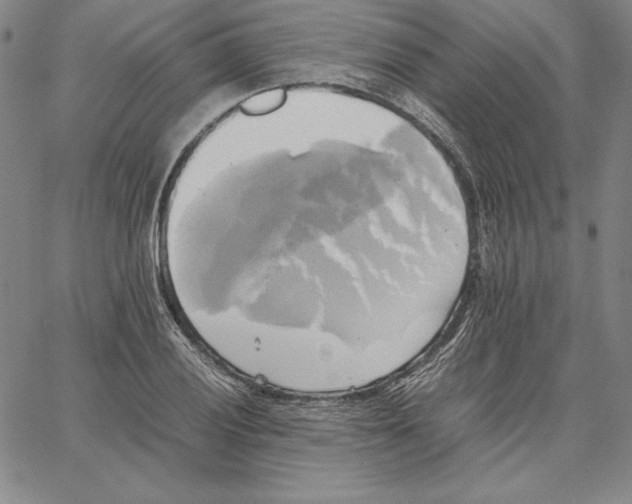 X0000066521028200604071547